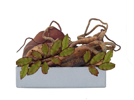 KIWI BUSH PEPPER